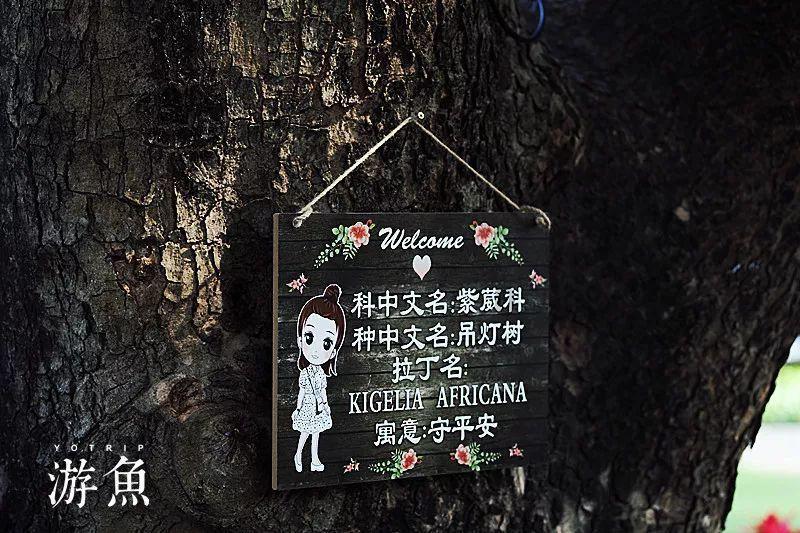 集装箱货运船